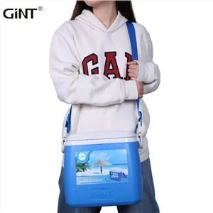Portabel Mini Traveling Cold Chain kylbox
